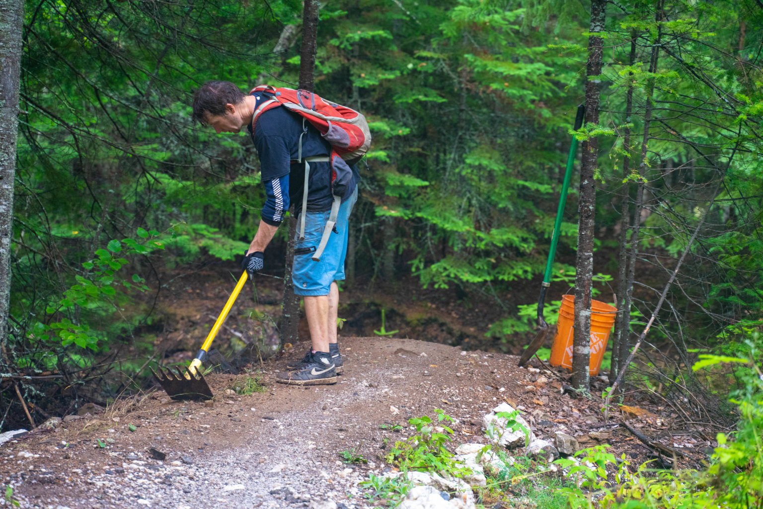 TROWBRIDGE FOREST RECREATION TRAILS MASTER PLAN FAQ - Blacksheep ...